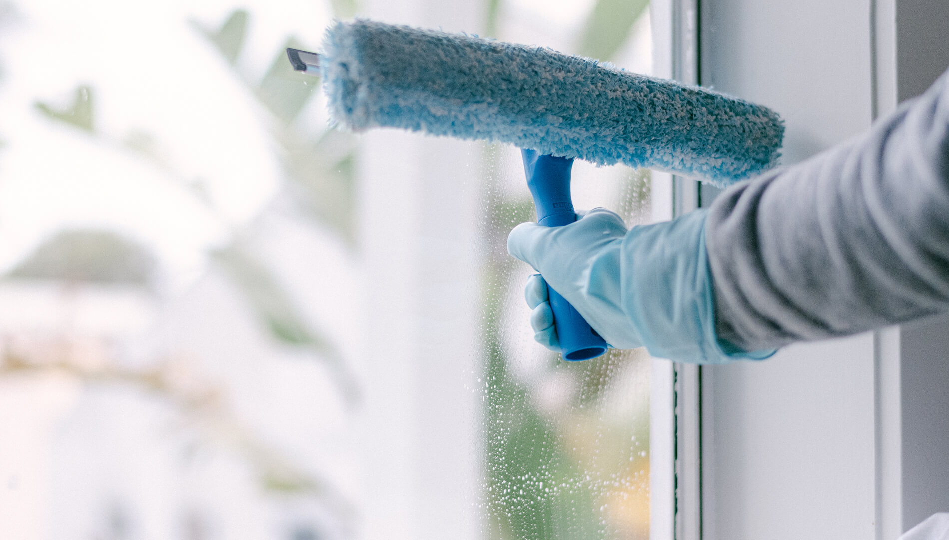 window-cleaning-11